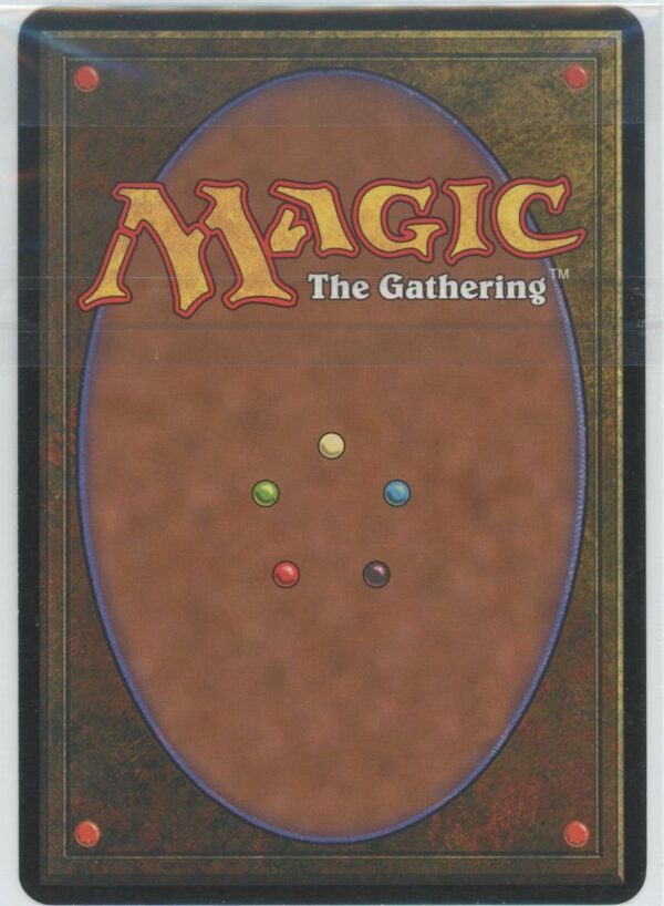 2011 Magic Riku of Two Reflections - Image 2